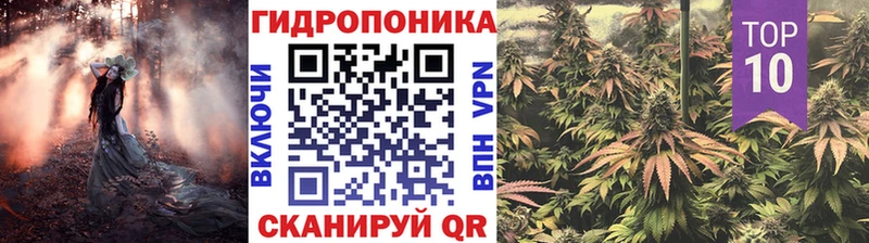 Купить где  Кубинка  Бошки марихуана семена 